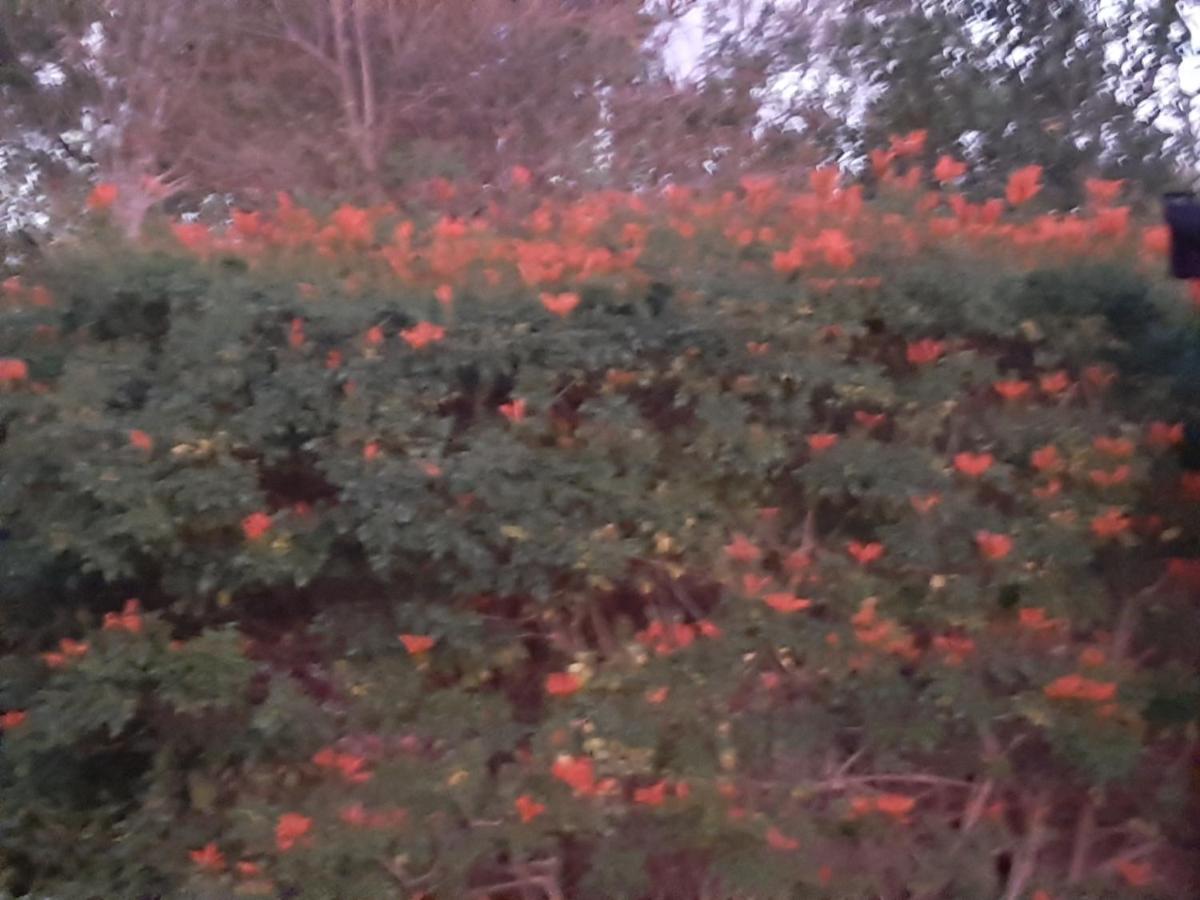 Mountain View Swellendam Apartment Bagian luar foto
