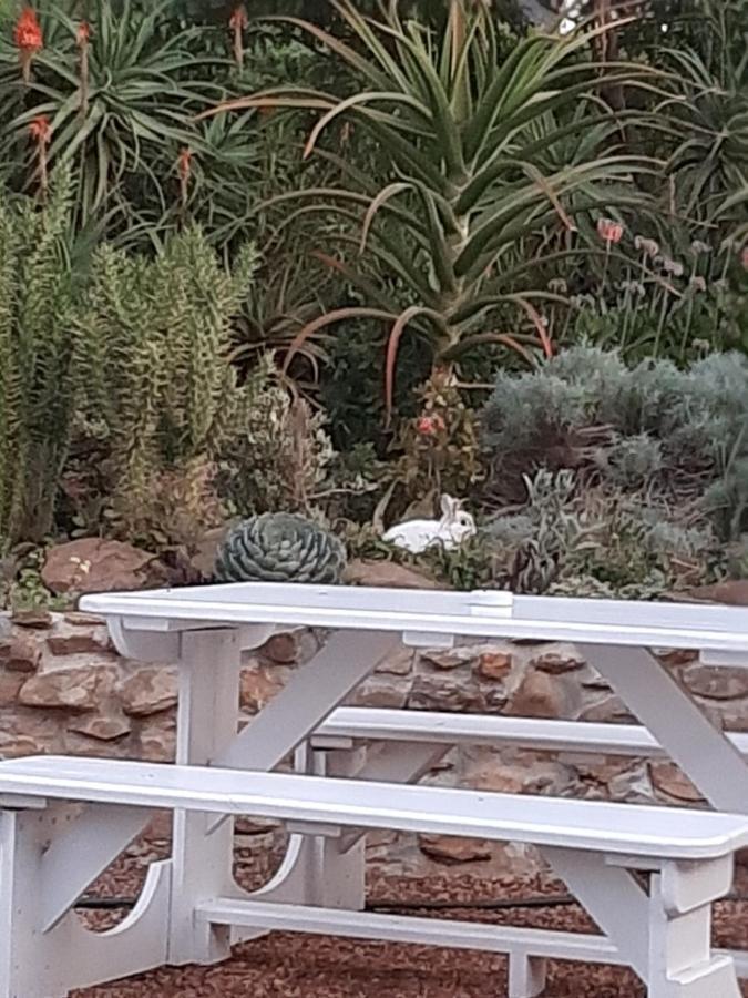 Mountain View Swellendam Apartment Bagian luar foto