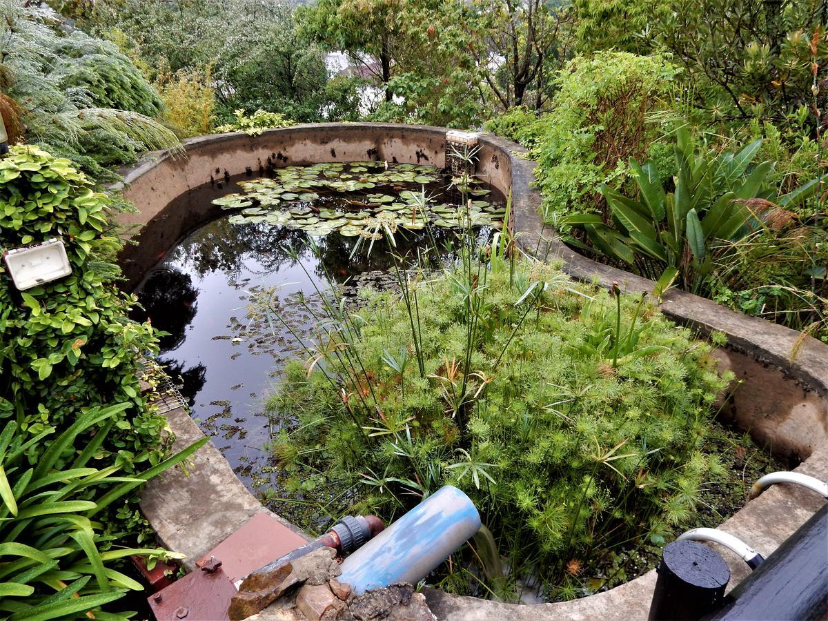 Mountain View Swellendam Apartment Bagian luar foto